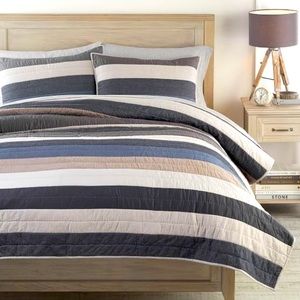 Quilt Full/Queen & 2 Shams (Pottery Barn Teen)